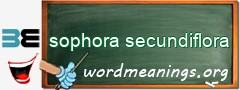 WordMeaning blackboard for sophora secundiflora